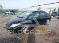 2010 Toyota COROLLA photo