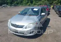 2010 Toyota COROLLA photo