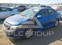 2010 Toyota COROLLA photo