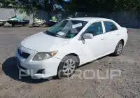 2010 Toyota COROLLA фото