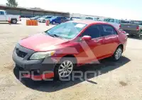 2010 Toyota COROLLA фото