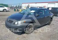 2010 Toyota COROLLA фото