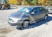 2010 Toyota COROLLA фото
