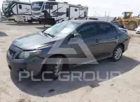 2010 Toyota COROLLA photo