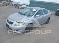 2010 Toyota COROLLA фото