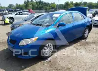 2010 Toyota COROLLA photo