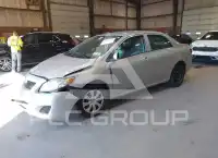 2010 Toyota COROLLA photo