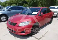 2010 Toyota COROLLA photo