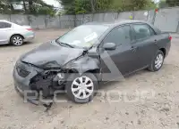 2010 Toyota COROLLA фото