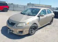 2010 Toyota COROLLA фото