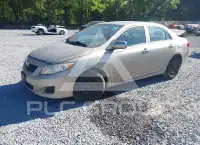 2010 Toyota COROLLA фото
