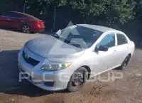 2010 Toyota COROLLA photo