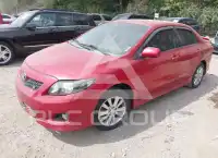 2010 Toyota COROLLA photo