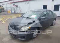 2010 Toyota COROLLA фото