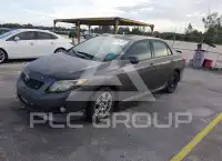 2010 Toyota COROLLA фото