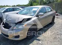 2010 Toyota COROLLA photo
