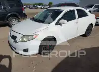 2010 Toyota COROLLA фото