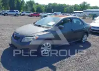 2010 Toyota COROLLA фото