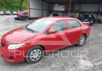 2010 Toyota COROLLA фото