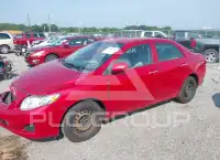 2010 Toyota COROLLA фото