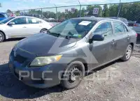 2010 Toyota COROLLA photo