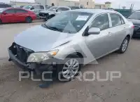 2010 Toyota COROLLA photo