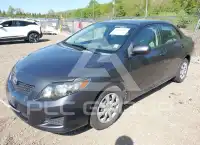 2010 Toyota COROLLA фото