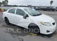 2010 Toyota COROLLA фото