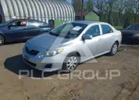 2010 Toyota COROLLA фото