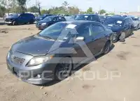 2010 Toyota COROLLA photo
