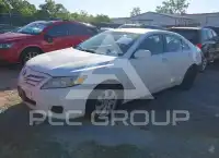 2010 Toyota CAMRY photo