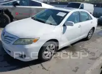 2010 Toyota CAMRY photo