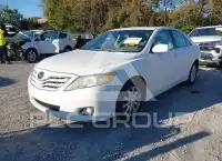 2010 Toyota CAMRY photo