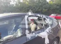 2010 Toyota PRIUS фото