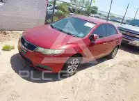 2010 KIA Forte photo