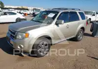 2010 Ford ESCAPE фото