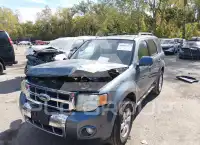 2010 Ford ESCAPE фото