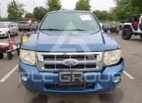 2010 Ford ESCAPE photo