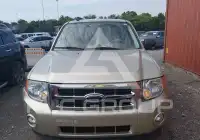 2010 Ford ESCAPE фото