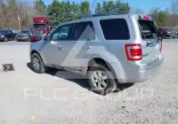 2010 Ford ESCAPE фото