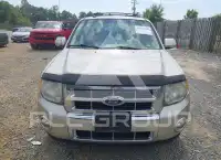 2010 Ford ESCAPE фото