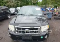 2010 Ford ESCAPE photo