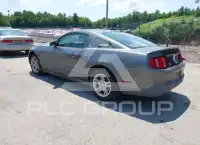 2010 Ford MUSTANG photo