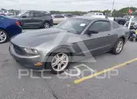 2010 Ford MUSTANG фото