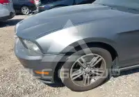 2010 Ford MUSTANG фото