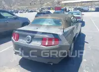 2010 Ford MUSTANG фото