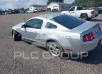 2010 Ford MUSTANG photo