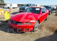 2010 Ford MUSTANG фото