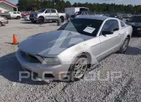 2010 Ford MUSTANG photo