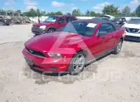 2010 Ford MUSTANG photo